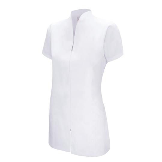 Tunic Clasp