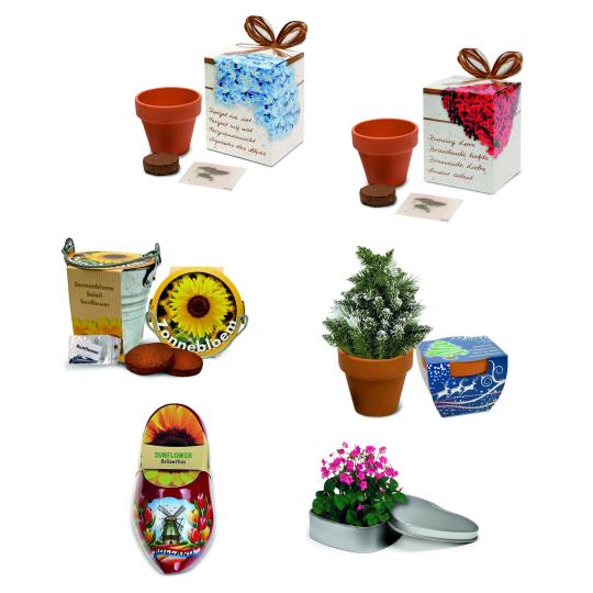 Vasos biodegradáveis