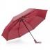 Parapluie Rego