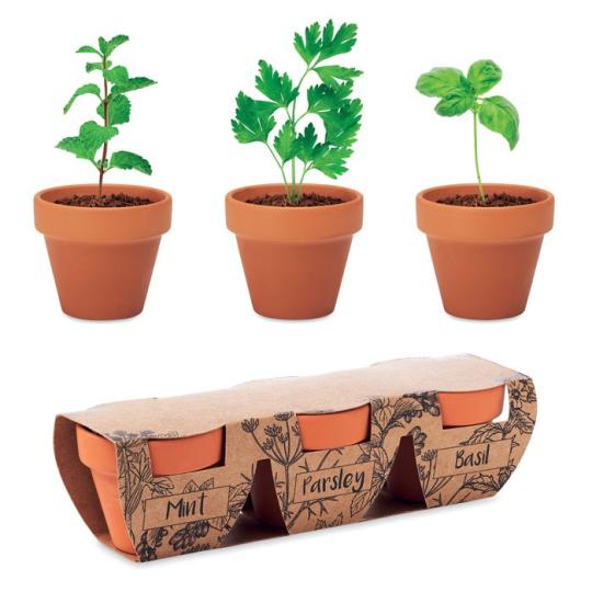 Conjunto de 3 vasos Flowerpot