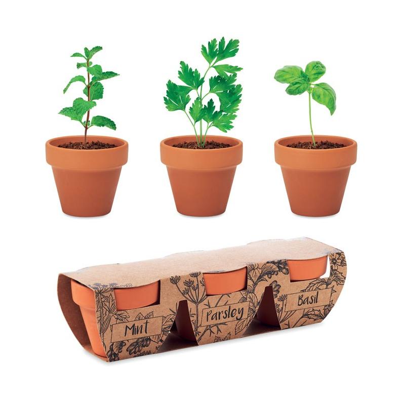 Conjunto de 3 vasos Flowerpot