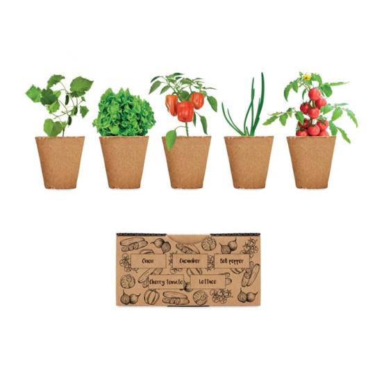Kit de cultivo Salad