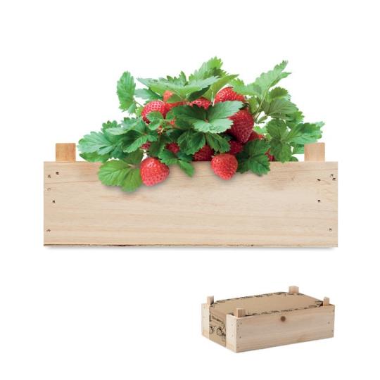 Kit de cultivo Strawberry