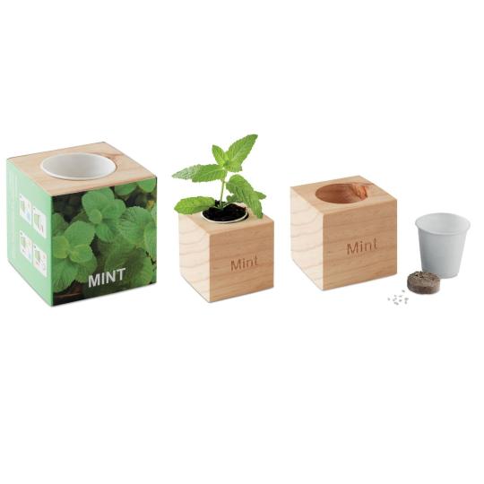 Mint seed holder