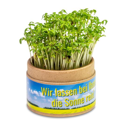 Planta-copo