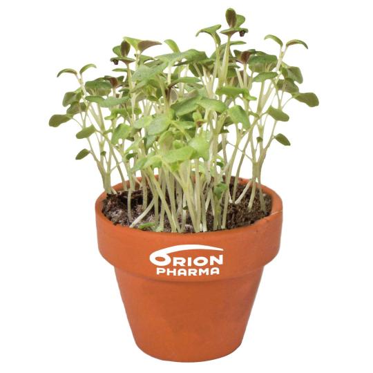 Vaso com sementes totalmente personalizado