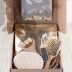 Kit Midi