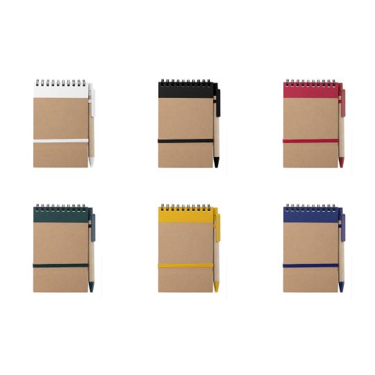 Caderno Ecocard