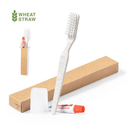 Set dental Kit