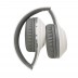 Fones de plástico reciclado RCS