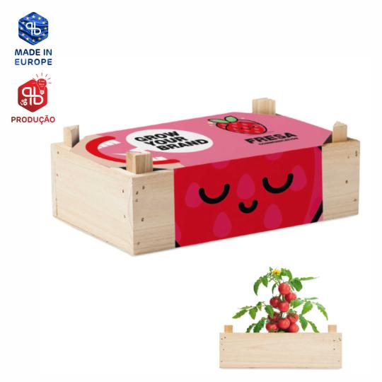 Kit de cultivo em caixa de madeira (Produção)