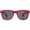 gafas de sol de plástico del océano Sun Ray
