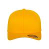 Flexfit Wooly Combed Cap