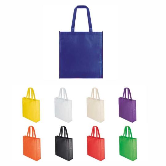 Laminated Non Woven Bag Fern