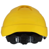 Casco