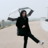 Chapéu-De-Chuva Mist