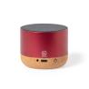 Moore Loudspeaker
