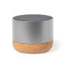 Haut-parleur Moore