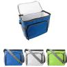 Insulated polyester (600D) bag Lance
