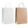 Large Paper Bag