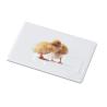 USB Memory Memorama