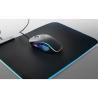 Souris de jeu en ABS Thorne Souris Rgb