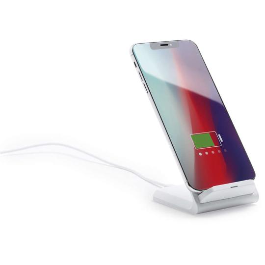 Tayil RCS Charger