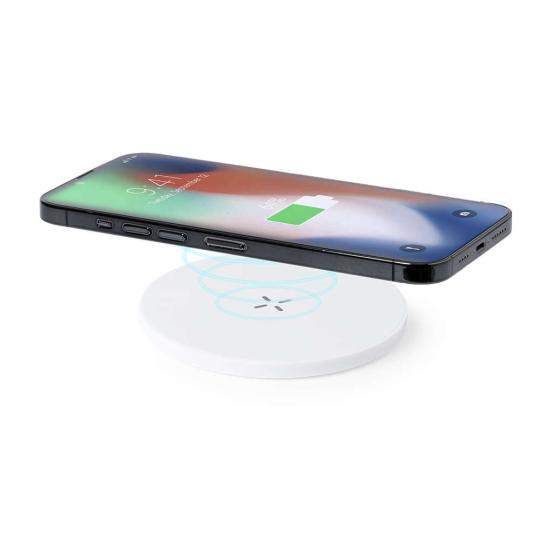 Charger Kambel RCS