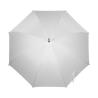 Parapluie de mousson