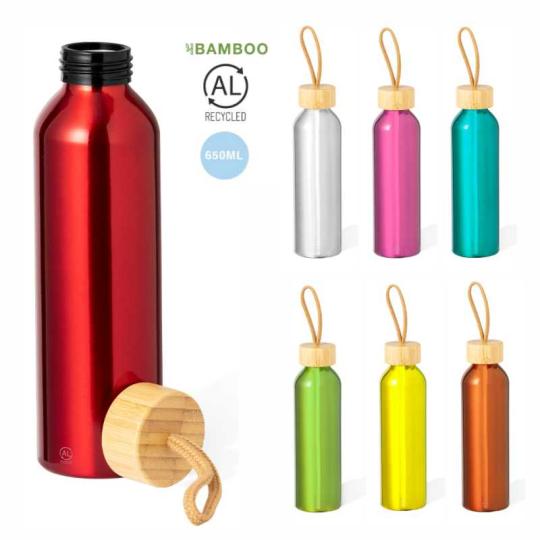 Bouteille 600 ml Irvinsion