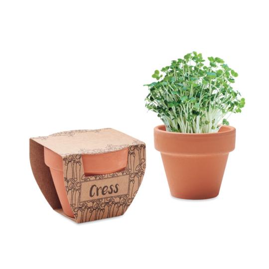 Vaso de Terracota con...