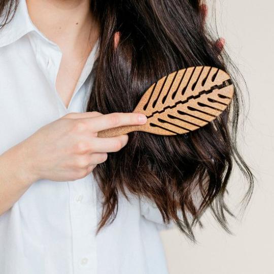 Brosse Coco