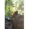 Powerbank Robusta a Prueba de Agua de 10 000 mAh 20W QC3.0 con linterna Xtorm XR201 Xtreme