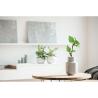 Bloco A5 Birch GROWBOOK™