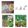 Sous-verres en papier de graines (Production)