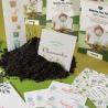 Seed Coaster Germinate (Production)