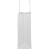 Kraft paper bag with twisted handles X large (Production)