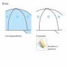 Polyester cap with 5 panels (Production)