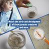 Educational game for children Jurassic Pets Kit I Science4You®