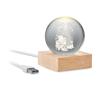 Bola de Cristal LED de Navidad Santa Light