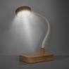 Lamp with charger