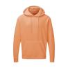 Sudadera con capucha de hombre y mujer SG