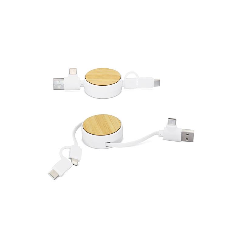 Multiple Charger