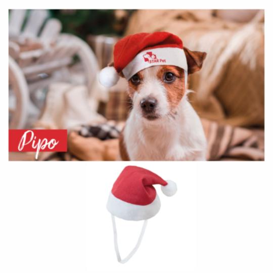 Gorro de navidad para...