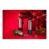 Thermal bottle with cord 500 ml Ron