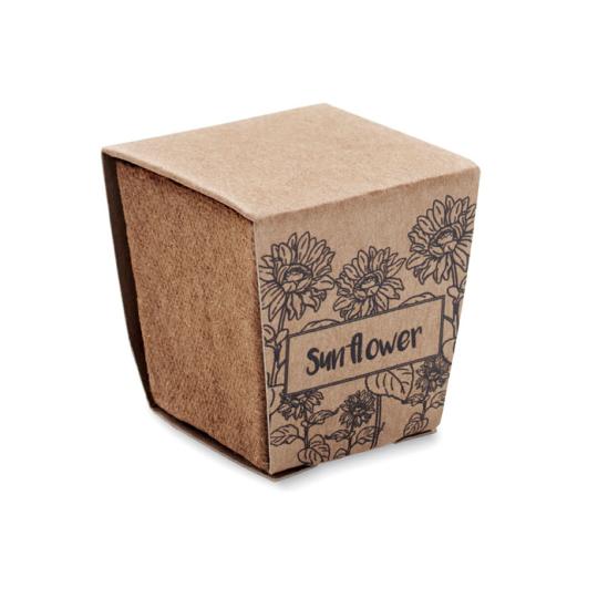 Sunflower Vase Kit