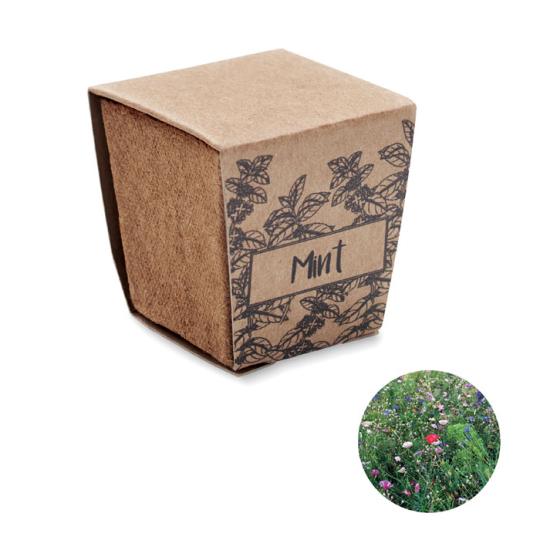 Kit de Menta Vaso