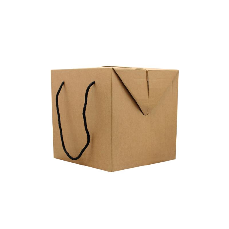Caja de microcanal con cordón Cube