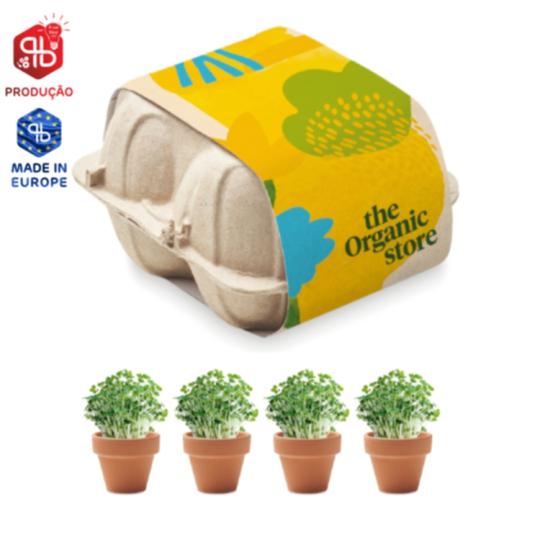 4 Pots en Terre Cuite dans...
