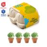 4 Pots en Terre Cuite dans un Plateau à Œufs (Production)
